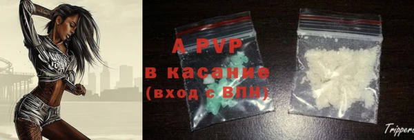метадон Богданович