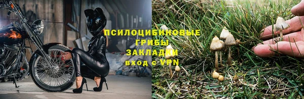 a pvp Богородицк