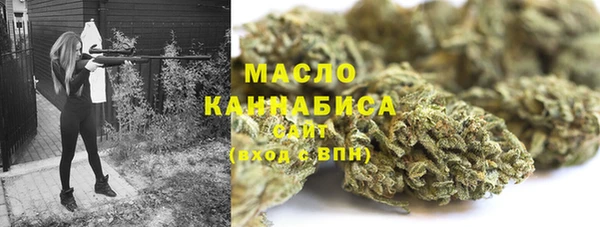 метадон Богданович