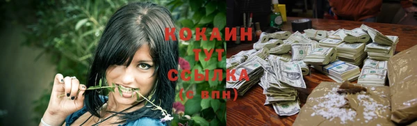 a pvp Богородицк